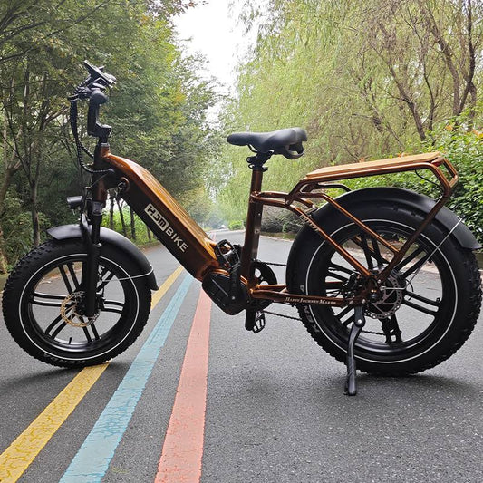 20a Electric Bike All Weather Winter Dual Battery Commuter Cargo Fat Tire Step-Thru Long Range Senior Adult Ebike 750w 20x4 Breeze Antique Bronze